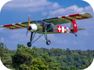 Slepcev Storch STOL buy on buildandfly.shop aircraft plans and manuals