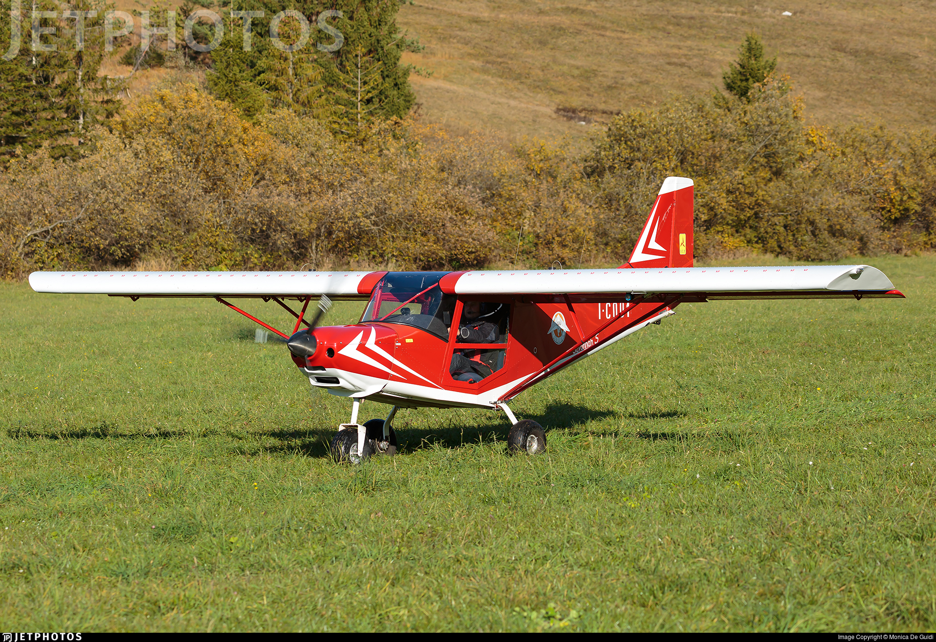 ICP Savannah-S - buy on buildandfly.shop aircraft plans and manuals